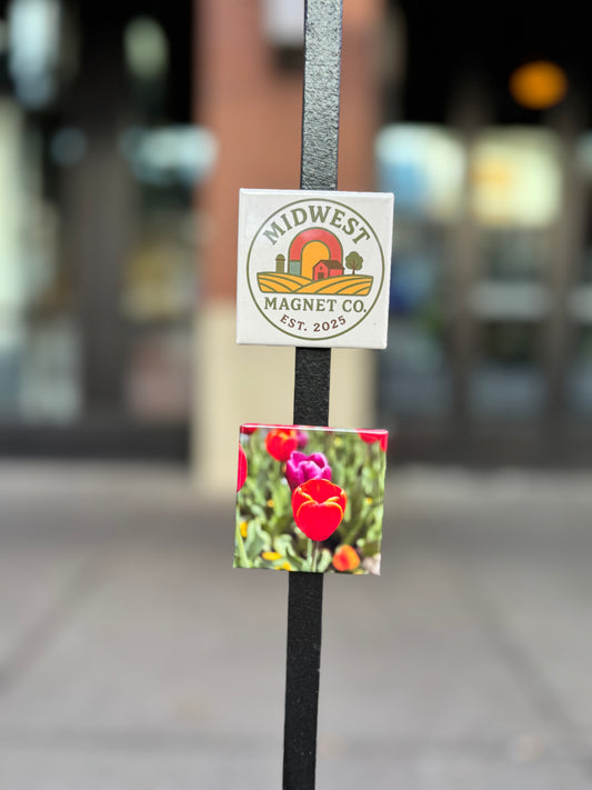 Square 2x2 magnet set of 10